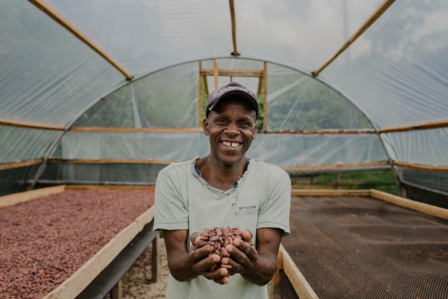 Rede Promove Cacau Org Nico E Produ O Agroecol Gica No Sul Da Ba Arapyau