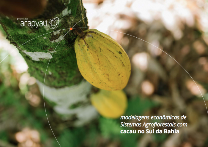 modelagens econômicas de Sistemas Agroflorestais com cacau no Sul da Bahia