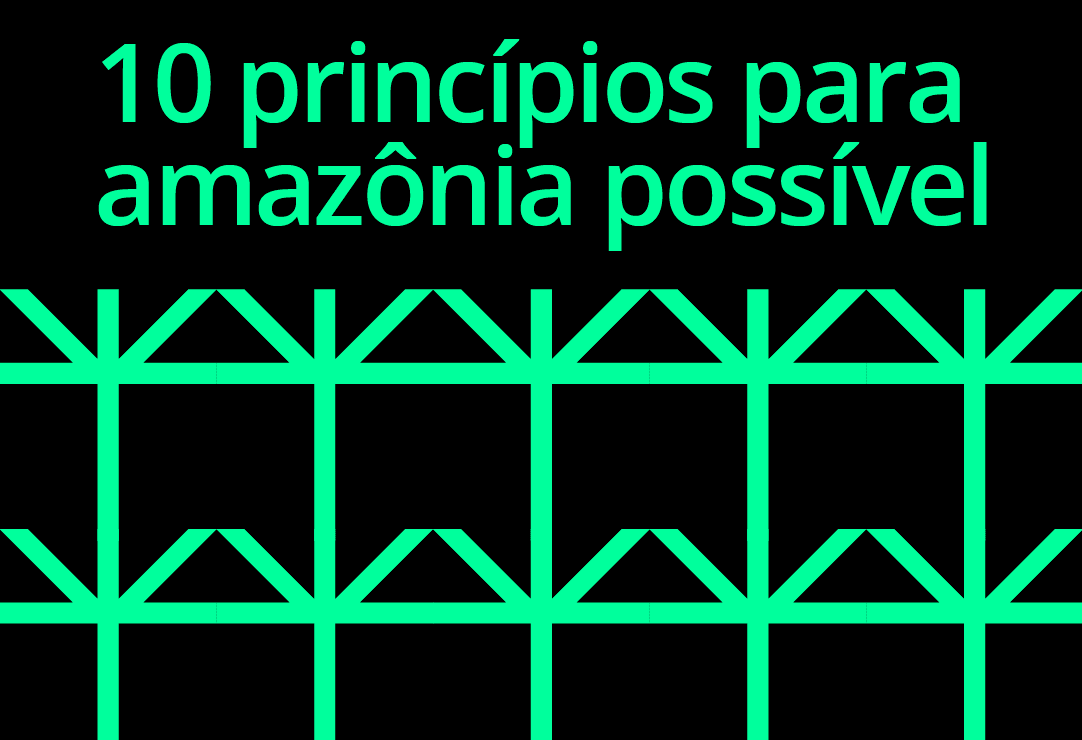 10 princípios para amazônia possível