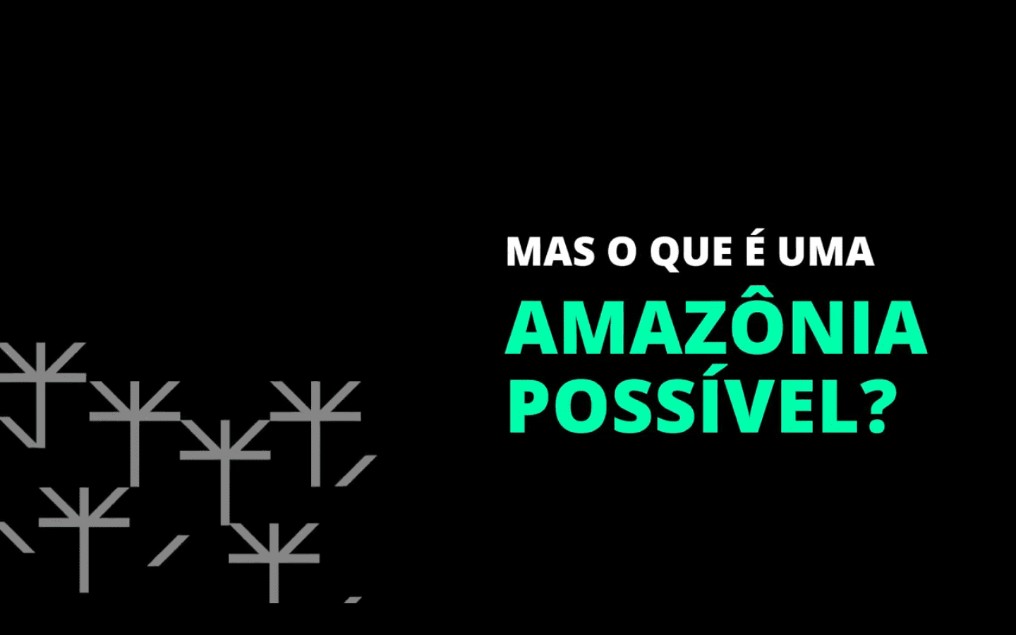 vídeo sobre iniciativa amazônia possível
