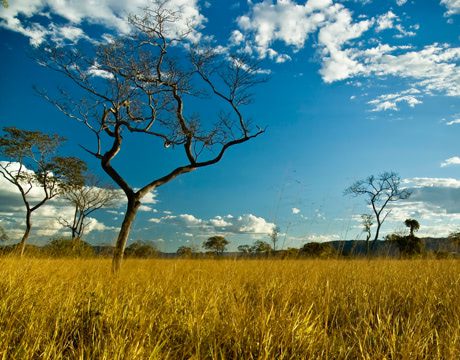 Mudanças Climáticas