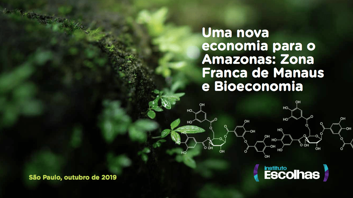 Uma nova economia para o Amazonas