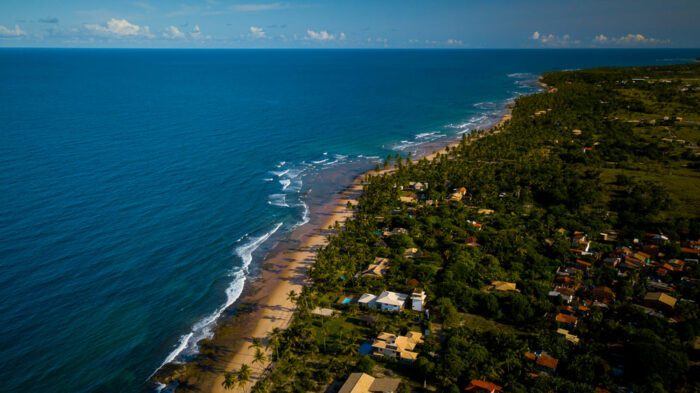 Estudo traça panorama da cacauicultura no litoral do sul da Bahia