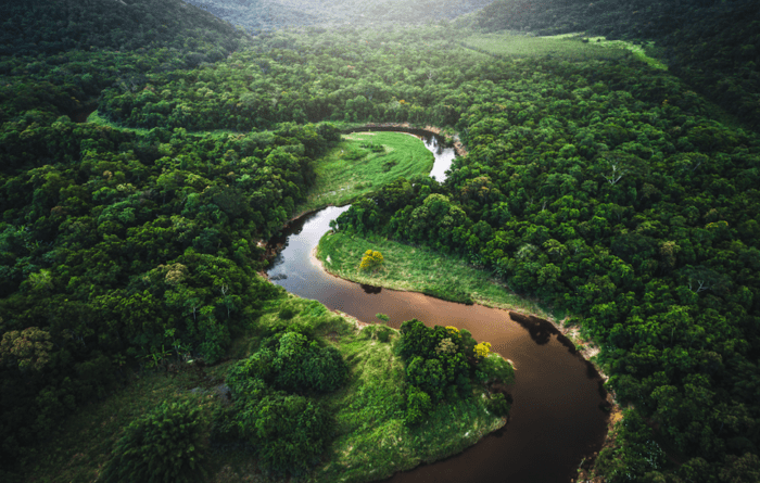 Como alcançar recursos para desenvolver a Amazônia