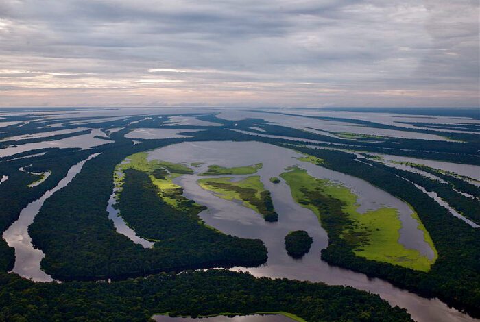 Coalizão afirma em manifesto que meta climática brasileira deve ser mais ambiciosa