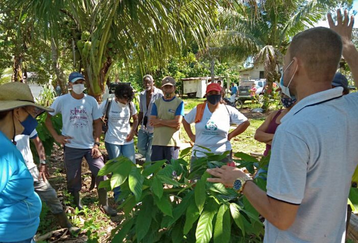 Indicação Geográfica Sul da Bahia lança programa pioneiro de rastreabilidade para produtores de cacau