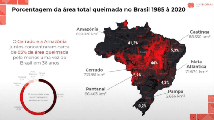 MapBiomas lança série inédita de dados sobre o impacto do fogo nos biomas brasileiros