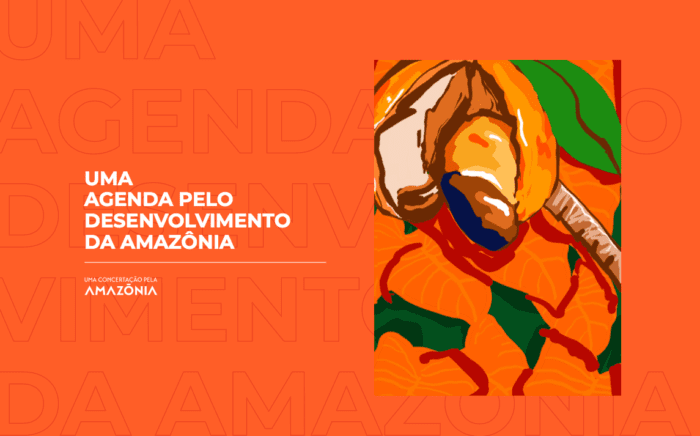 agenda pelo desenvolvimento da Amazônia