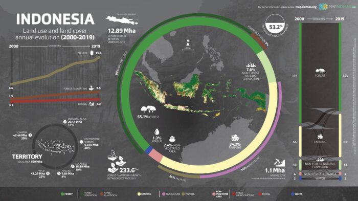 MapBiomas Indonésia: a primeira iniciativa fora da América do Sul