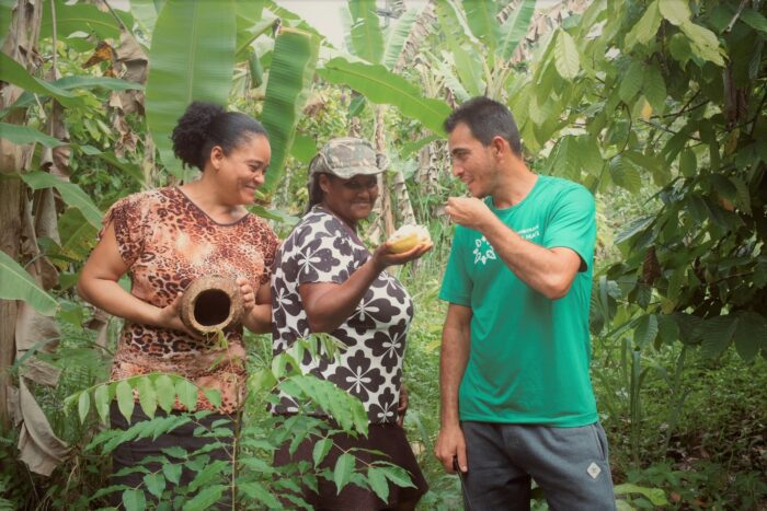 Crédito inovador eleva renda média de agricultor familiar de cacau em quase 40% em um ano