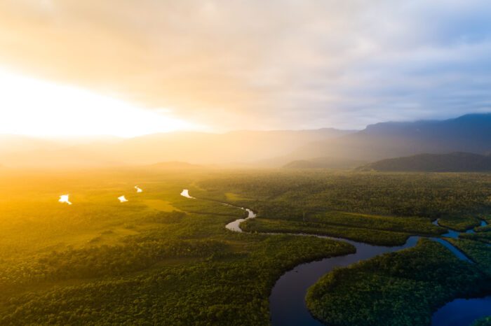 Concertação lança biblioteca de bancos de dados sobre a Amazônia Legal