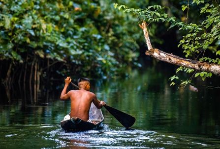 Marco Global da Biodiversidade criado na COP15 norteará ações pela natureza e oportunidades em bioeconomia