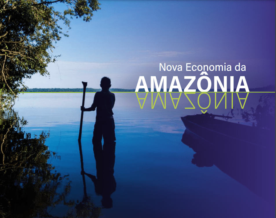 Nova Economia da Amazônia pode conduzir o Brasil a uma transição econômica justa, inclusiva e de baixo carbono até 2050