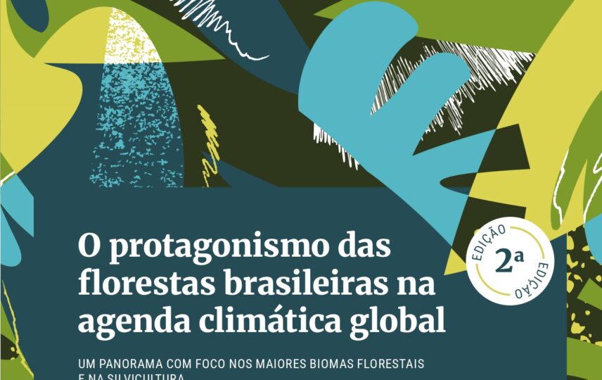 2ª edição – O protagonismo das florestas brasileiras na agenda climática global