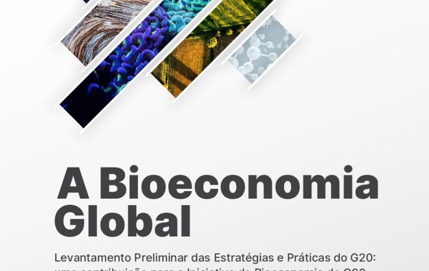 Capa: A Bioeconomia Global: Levantamento Preliminar das Estratégias e Práticas do G20