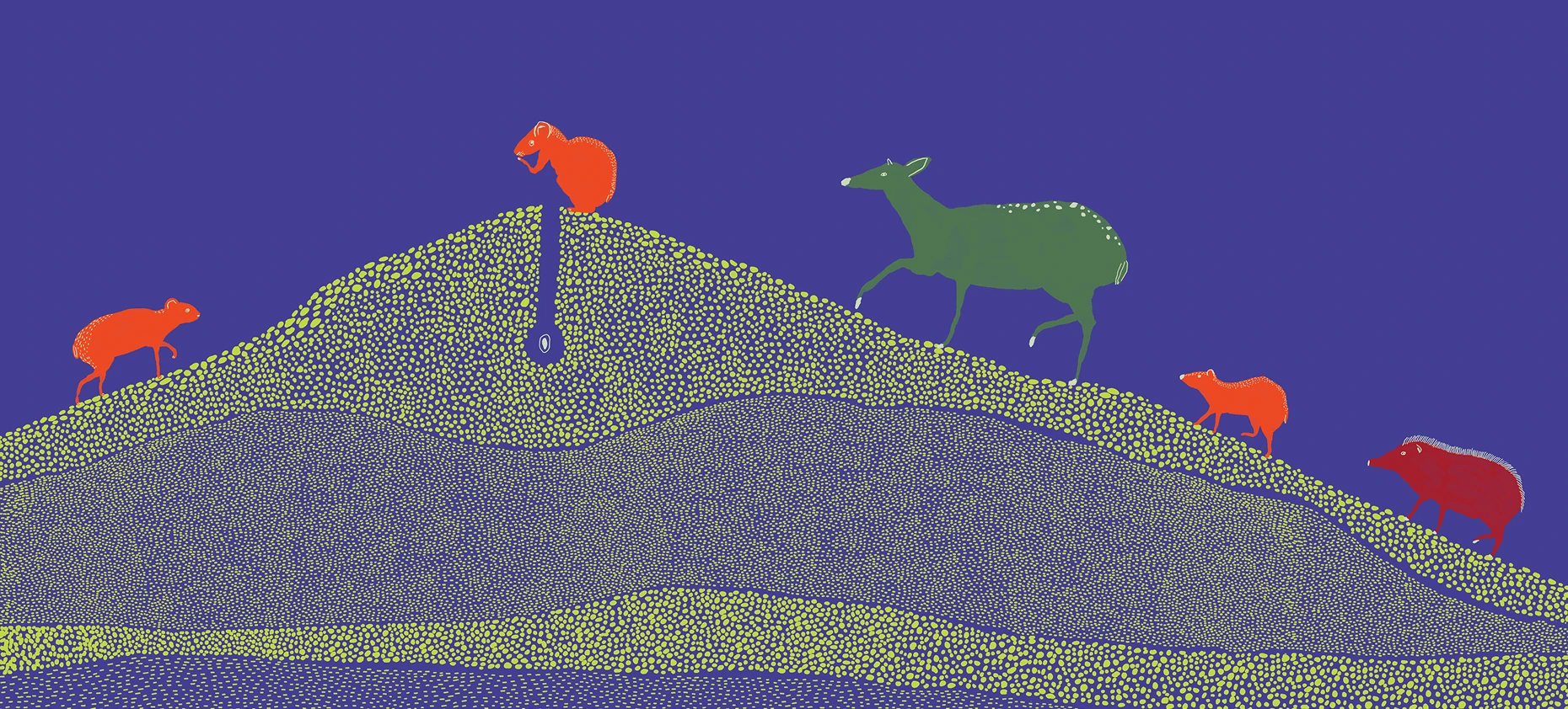 Ilustração: animais sobre um morro