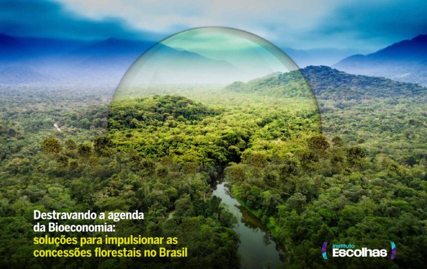 Capa: Destravando a agenda da Bioeconomia: soluções para impulsionar as concessões florestais no Brasil