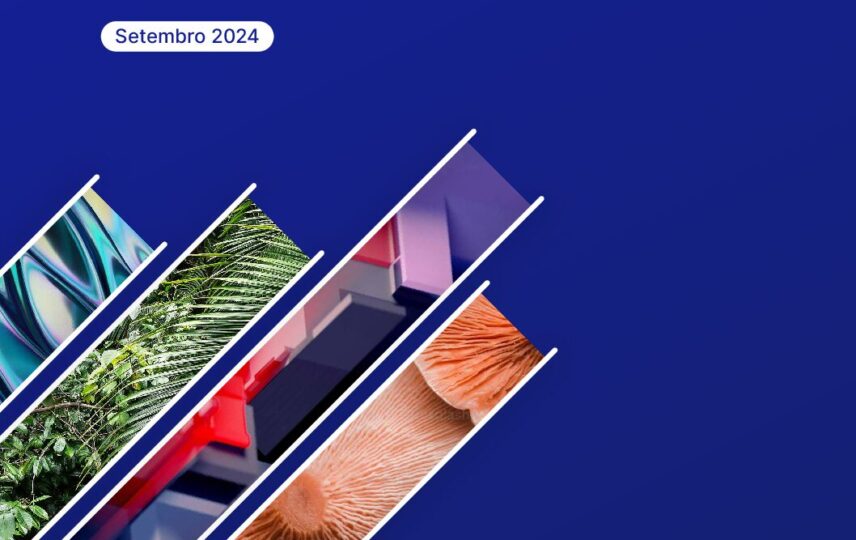 Capa: Financiando uma Bioeconomia Global Sustentável