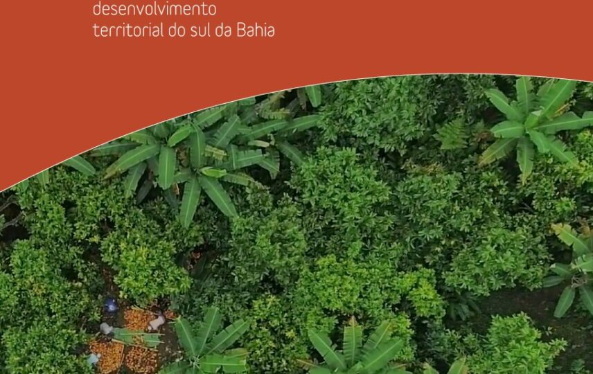 Capa: MapBiomas cacau (fase 1)