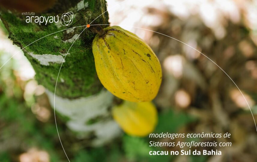 Capa: Modelagens econômicas de Sistemas Agroflorestais com cacau no Sul da Bahia