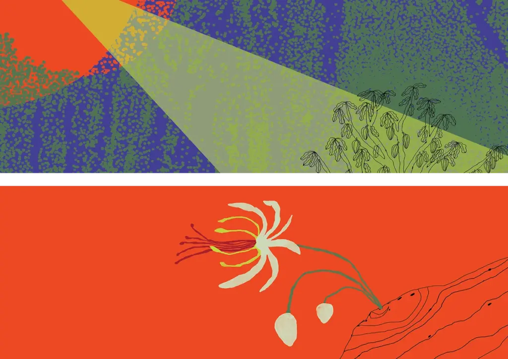 Ilustração: feixe de luz sobre a floresta e flor sobre fundo vermelho