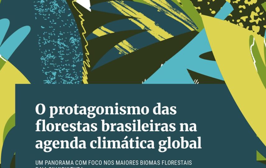 Capa: Sumário executivo - O protagonismo das florestas brasileiras na agenda climática global