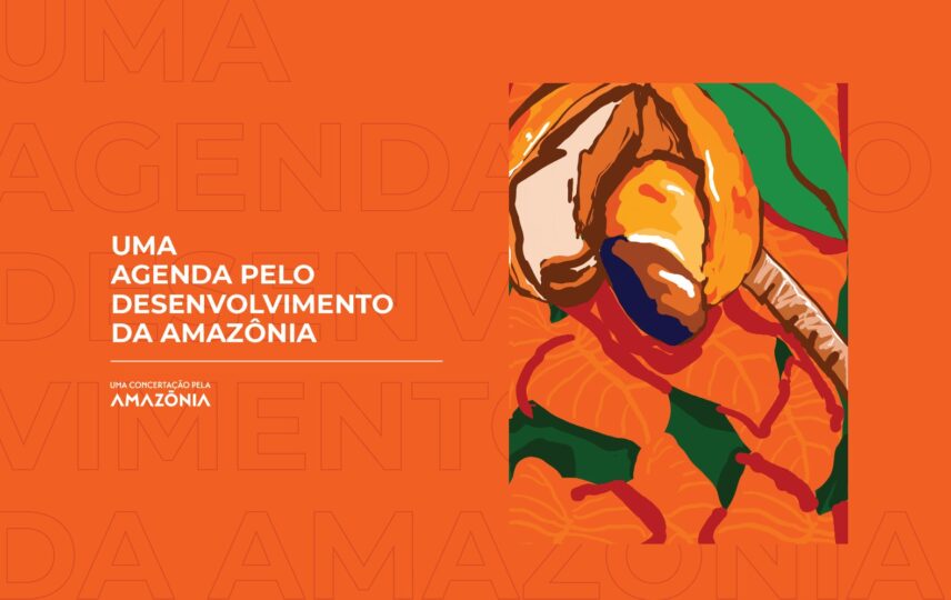 Capa: Uma agenda pelo Desenvolvimento da Amazônia